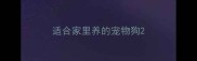 适合家里养的宠物狗