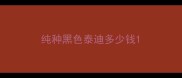纯种黑色泰迪多少钱