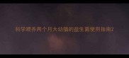 科学喂养两个月大幼猫的益生菌使用指南