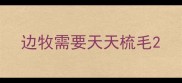 边牧需要天天梳毛