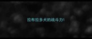 拉布拉多犬的战斗力