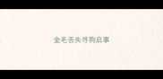 金毛丢失寻狗启事