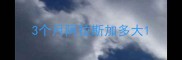 3个月阿拉斯加多大