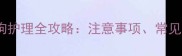 已接种狂犬疫苗的狗狗护理全攻略注意事项常见问题与科学养护指南