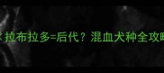 狼狗拉布拉多后代混血犬种全攻略