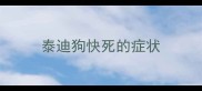 泰迪狗快死的症状
