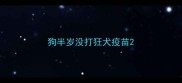 狗半岁没打狂犬疫苗