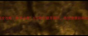 边牧挑选全攻略新手必看5步教你避开雷区选到健康聪明的小边牧
