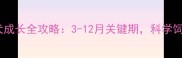 德牧幼犬成长全攻略3-12月关键期科学饲养指南