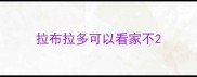 拉布拉多可以看家不