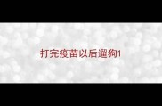 打完疫苗以后遛狗