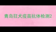 青岛狂犬疫苗抗体检测
