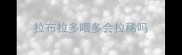 拉布拉多喂多会拉稀吗