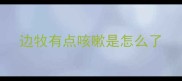边牧有点咳嗽是怎么了