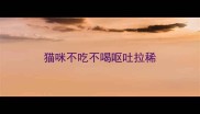 猫咪不吃不喝呕吐拉稀