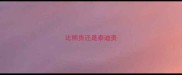 比熊贵还是泰迪贵