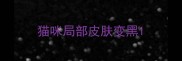 猫咪局部皮肤变黑