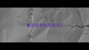 重庆拉布拉多论坛