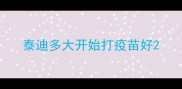泰迪多大开始打疫苗好
