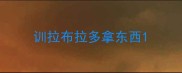 训拉布拉多拿东西