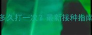 狗狗狂犬疫苗多久打一次最新接种指南与避坑要点全