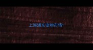 上海浦东宠物市场