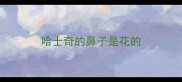 哈士奇的鼻子是花的