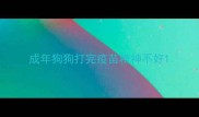 成年狗狗打完疫苗精神不好