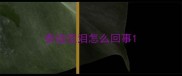 泰迪流泪怎么回事