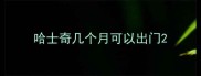哈士奇几个月可以出门
