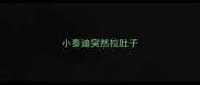 小泰迪突然拉肚子