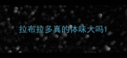 拉布拉多真的体味大吗