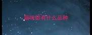 猫咪都有什么品种