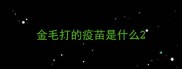 金毛打的疫苗是什么