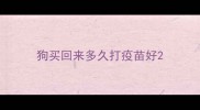 狗买回来多久打疫苗好