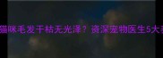 如何改善猫咪毛发干枯无光泽资深宠物医生5大养护秘籍