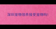 深圳宠物领养接受宠物吗