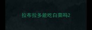 拉布拉多能吃白菜吗