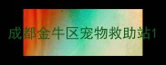 成都金牛区宠物救助站