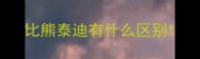 比熊泰迪有什么区别