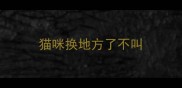 猫咪换地方了不叫