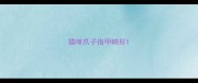 猫咪爪子指甲畸形