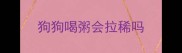 狗狗喝粥会拉稀吗