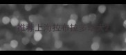 推荐上海拉布拉多幼犬