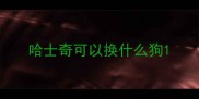 哈士奇可以换什么狗