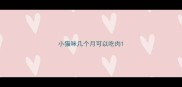 小猫咪几个月可以吃肉