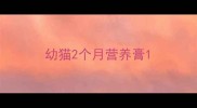 幼猫2个月营养膏