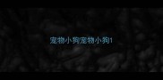 宠物小狗宠物小狗