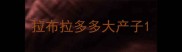 拉布拉多多大产子