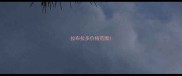 拉布拉多价格范围